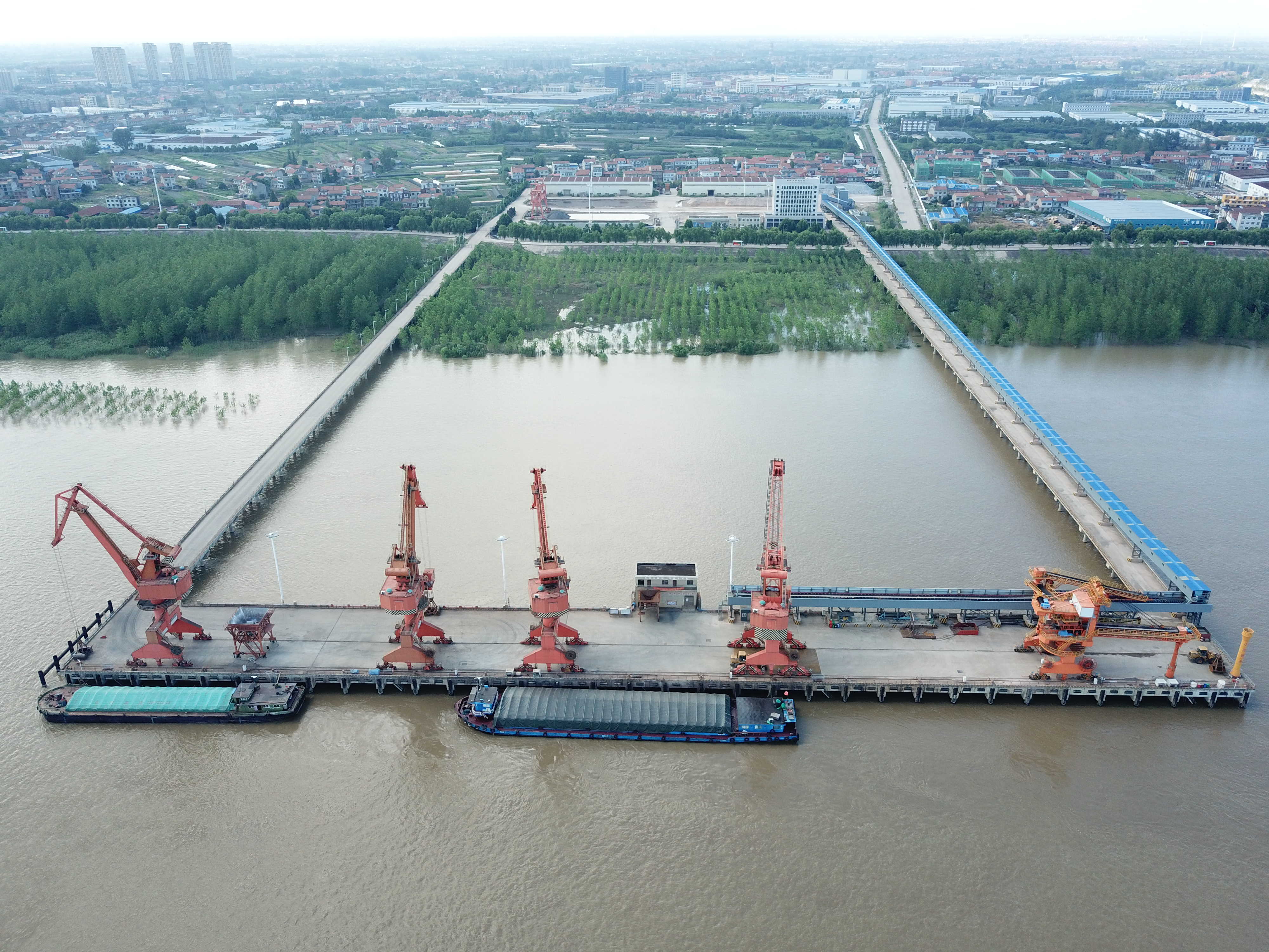 抖圈- (中国区)抖圈为赌而生