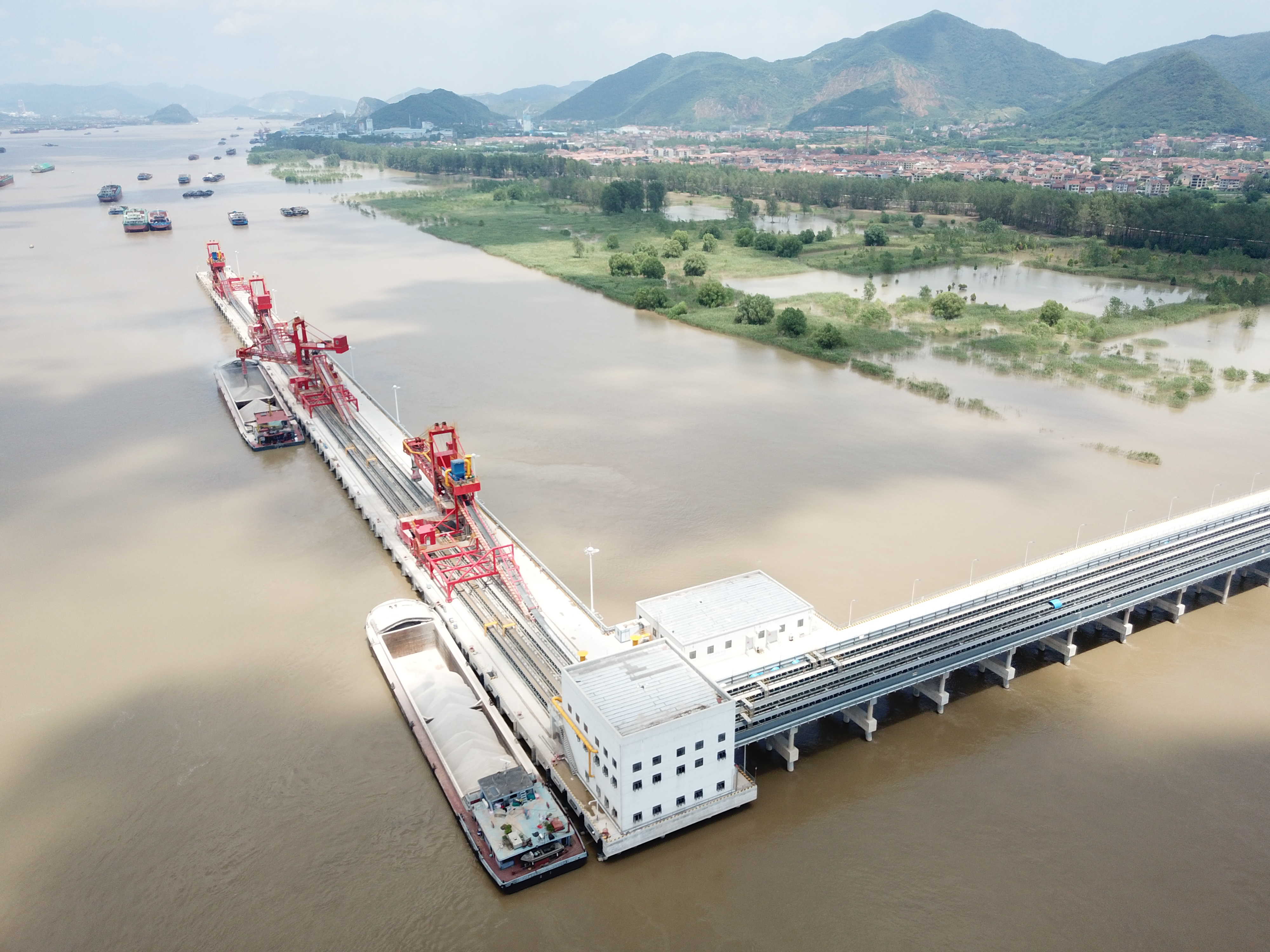 抖圈- (中国区)抖圈为赌而生