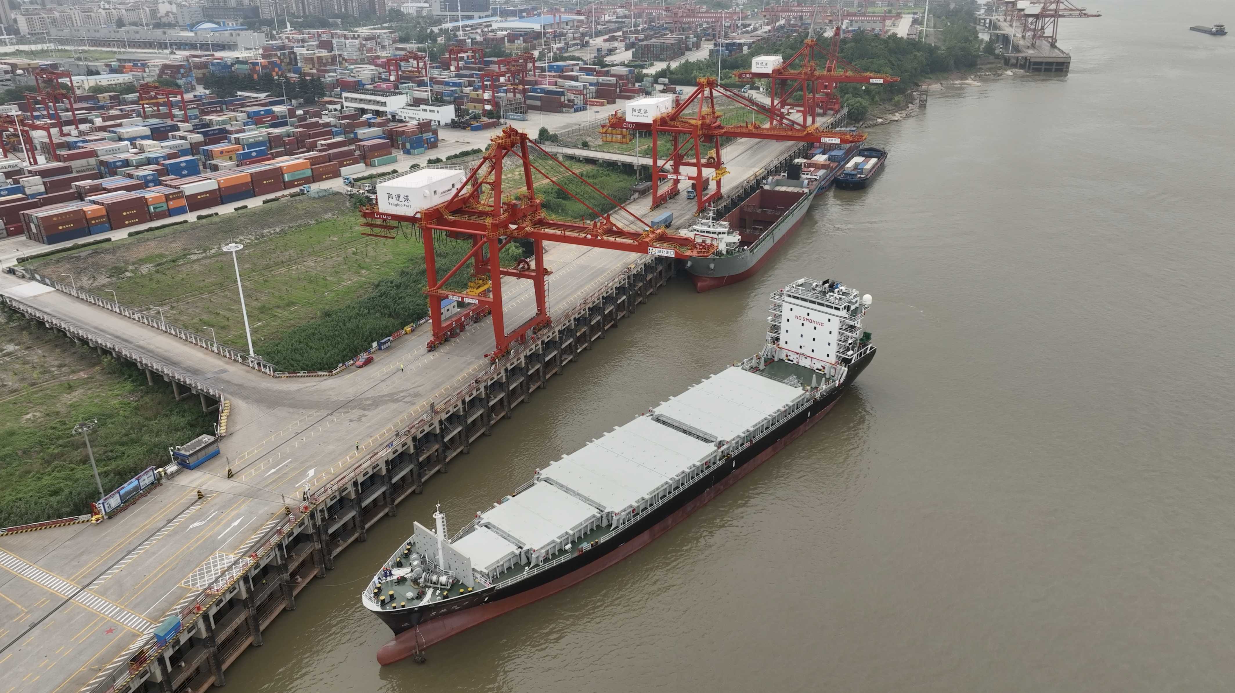 抖圈- (中国区)抖圈为赌而生